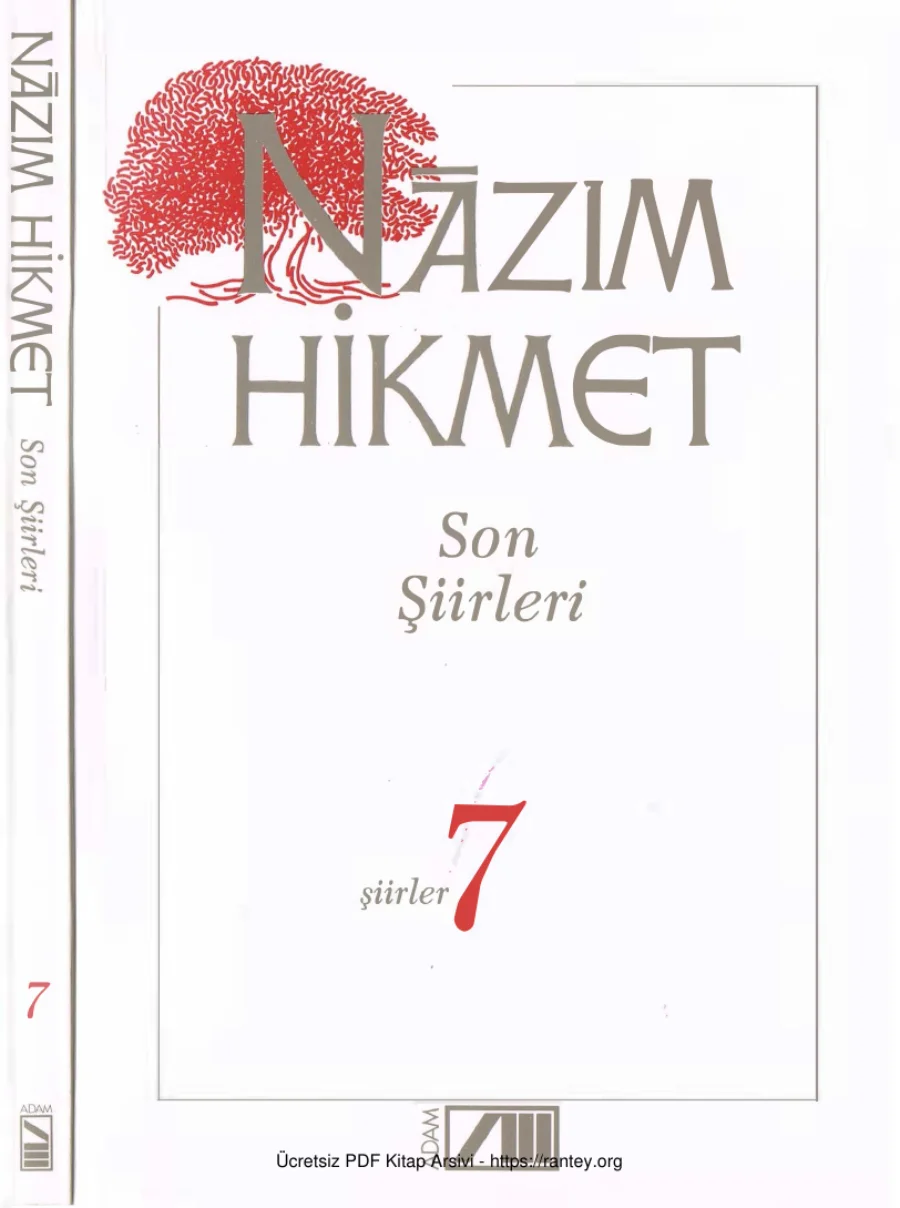 07 Son Şiirleri kapak görseli