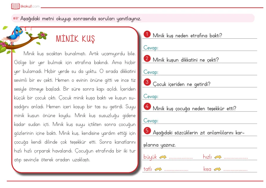 1. Sınıf Türkçe Minik Kuş Okuma Anlama Çalışması kapak görseli
