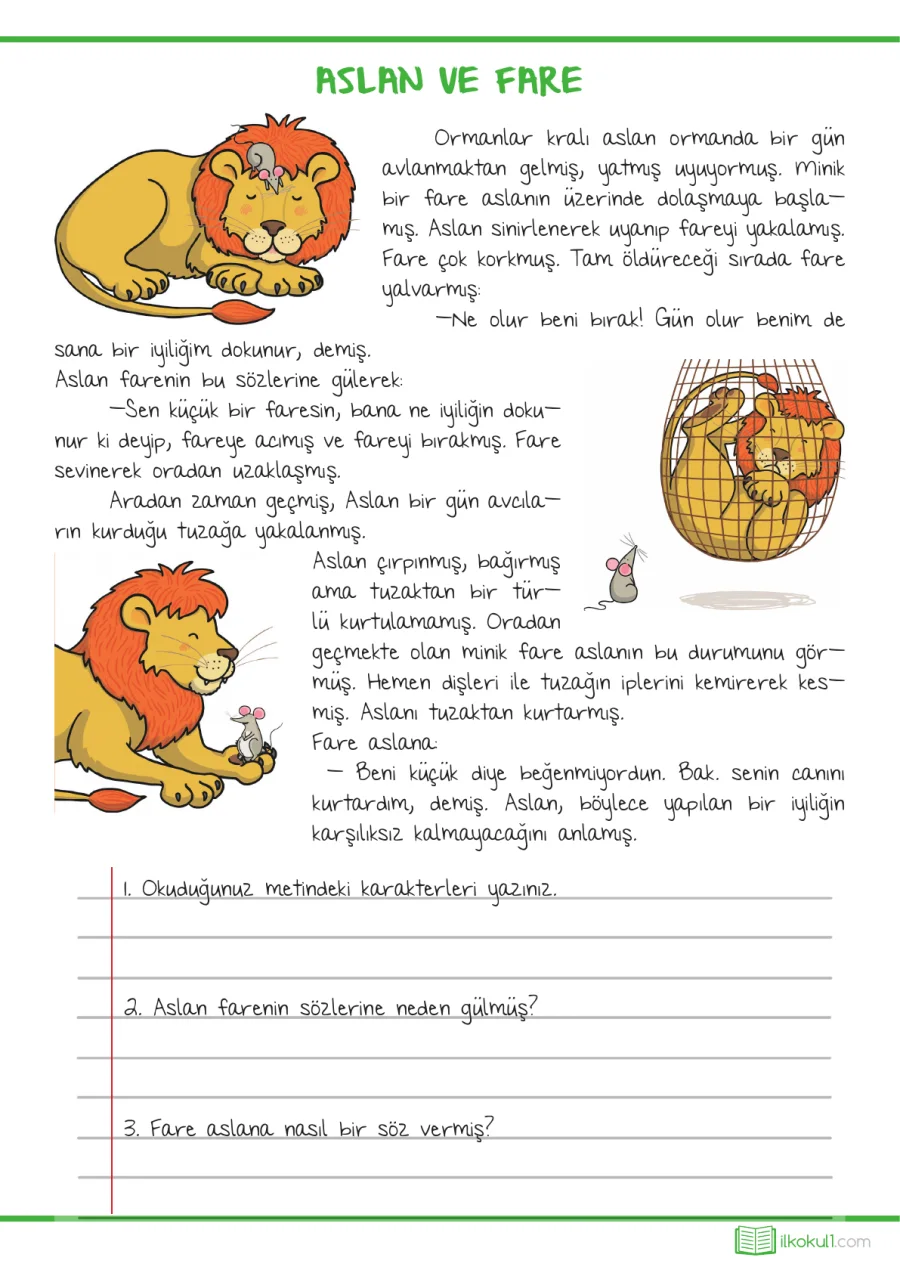 1. Sınıf Türkçe Okuma Anlama - Aslan ile Fare kapak görseli