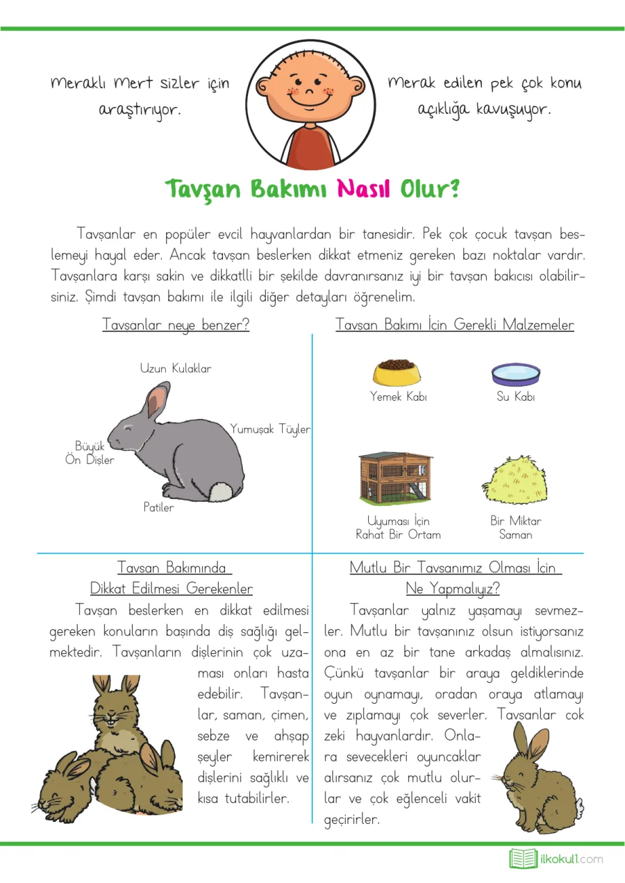 1. Sınıf Türkçe Okuma Anlama - Tavşan Bakımı Nasıl Olur? kapak görseli