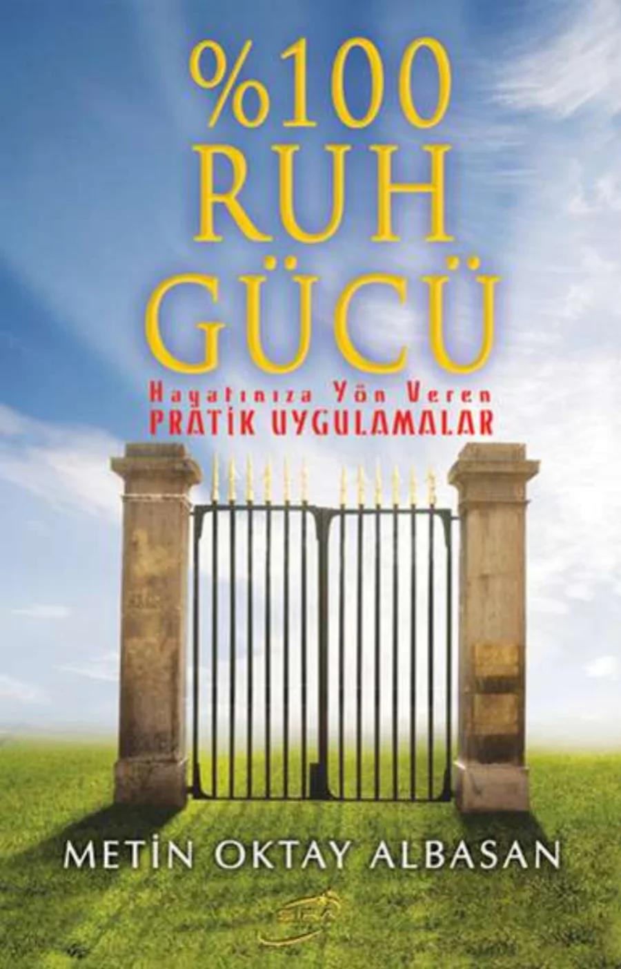 %100 Ruh Gücü kapak görseli
