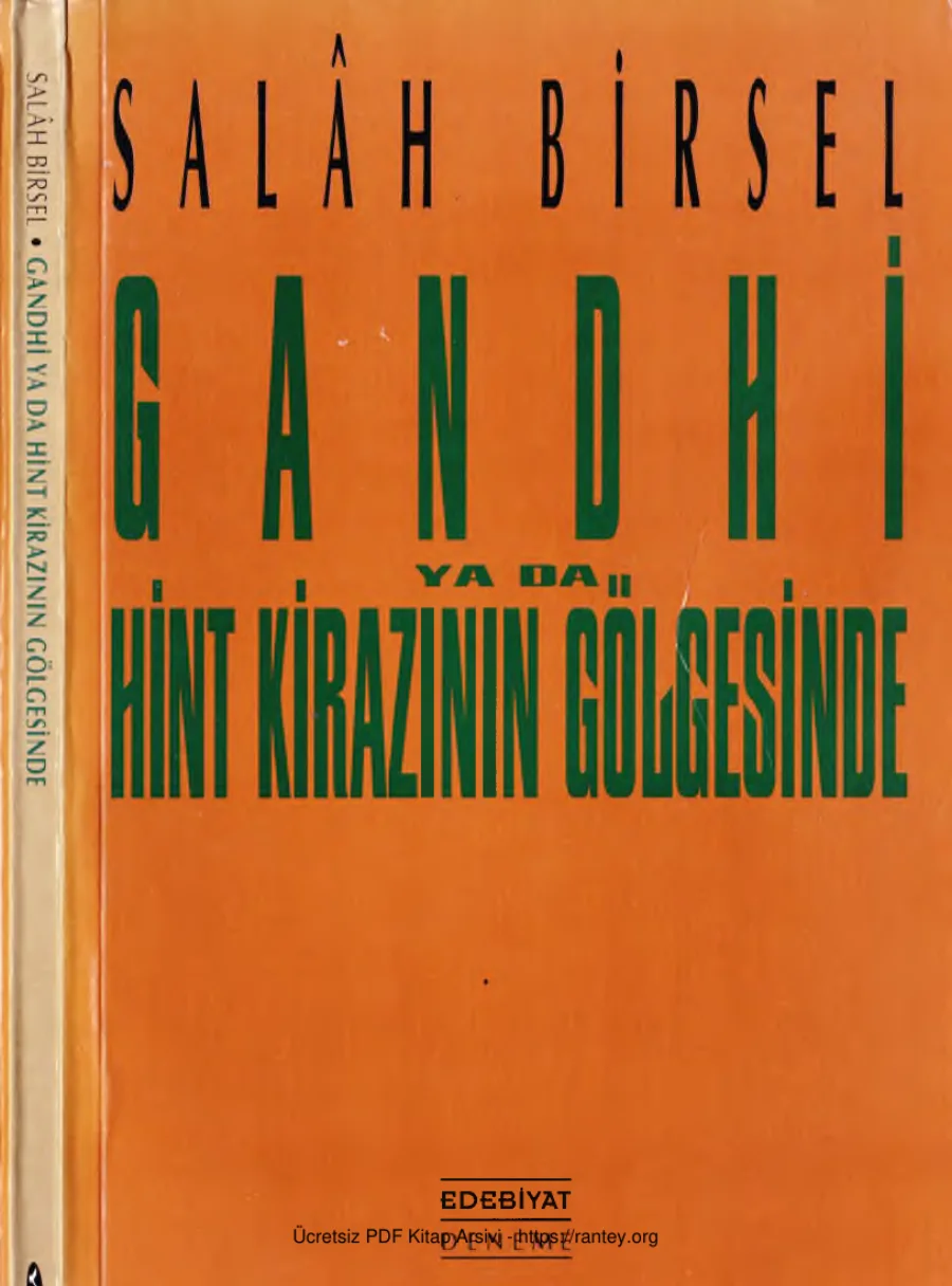 1001 Gece Denemeleri 13 Gandhi Ya da Hint Kirazının Gölgesinde kapak görseli