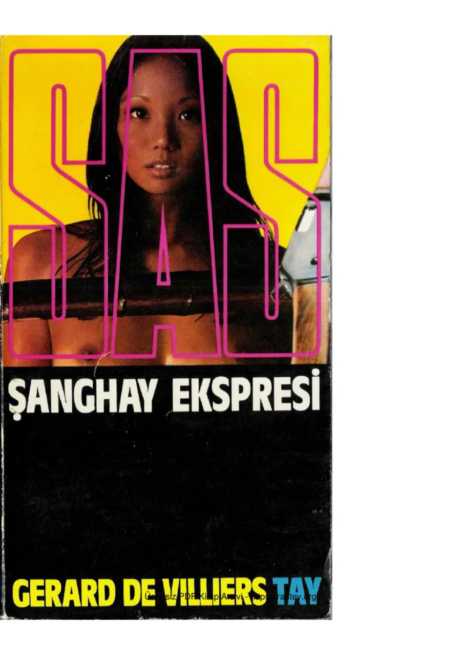 12 Sangay Expresi kapak görseli