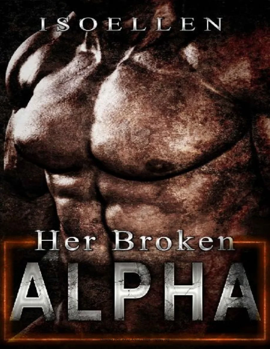 12 Sectors 2 Her Broken Alpha kapak görseli