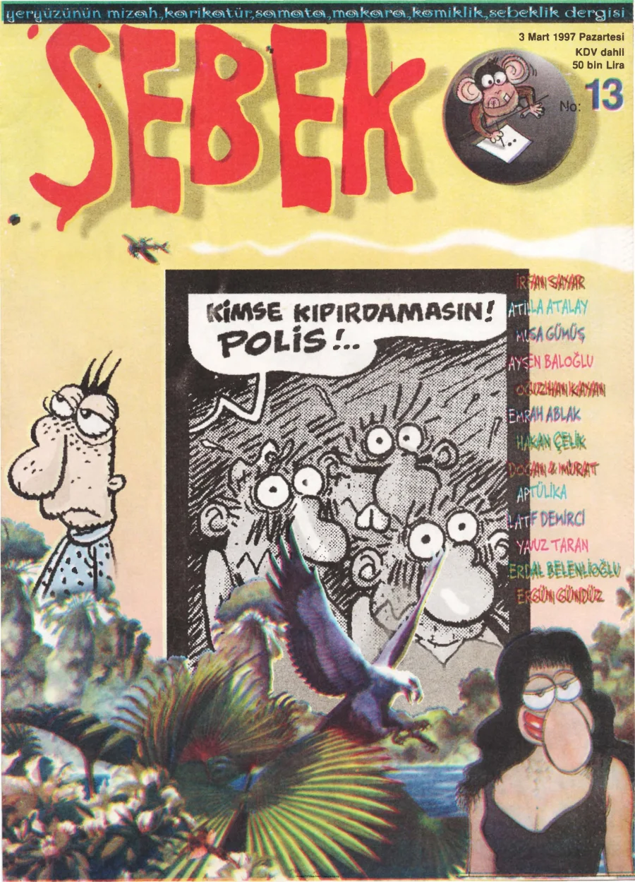 13 kapak görseli