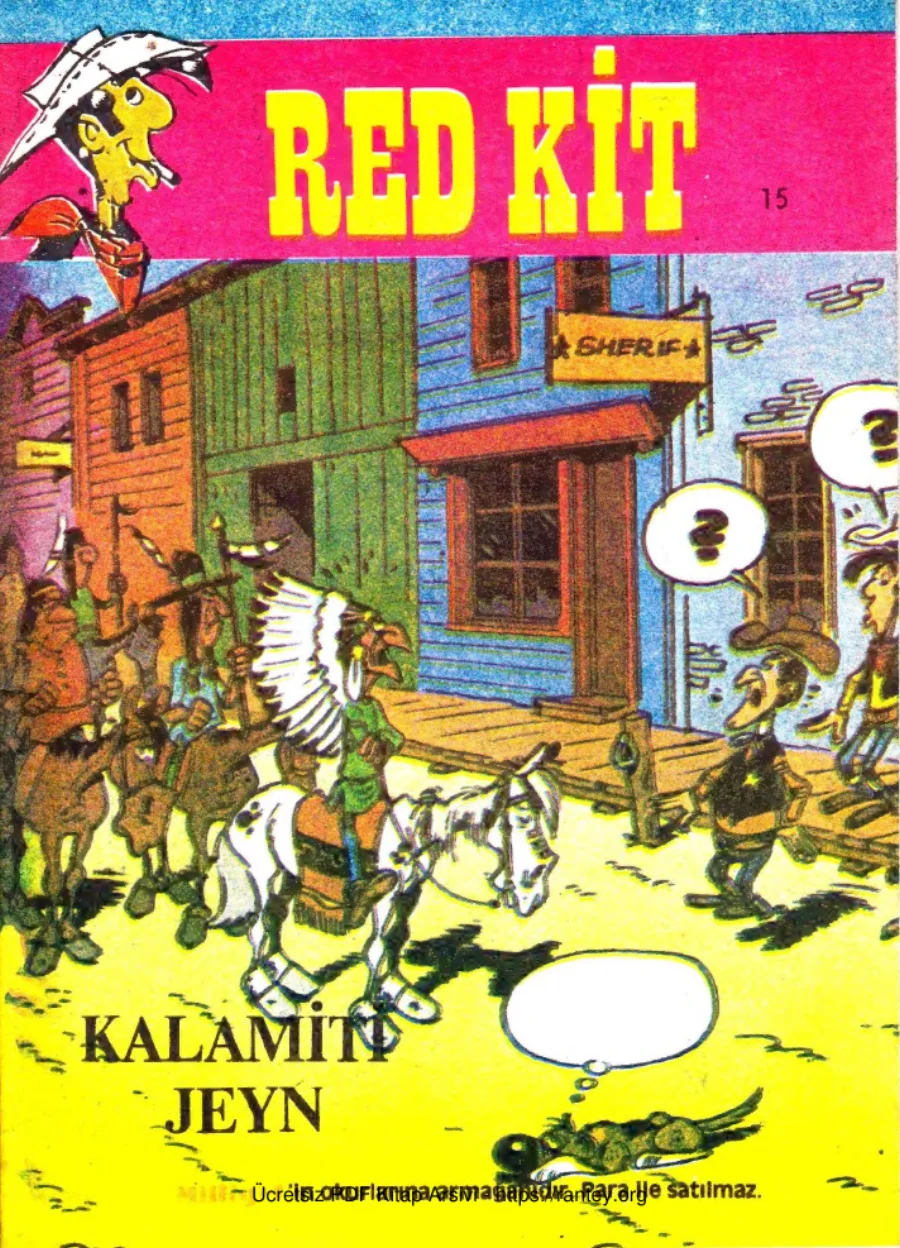 15 Kalamiti Jeyn kapak görseli