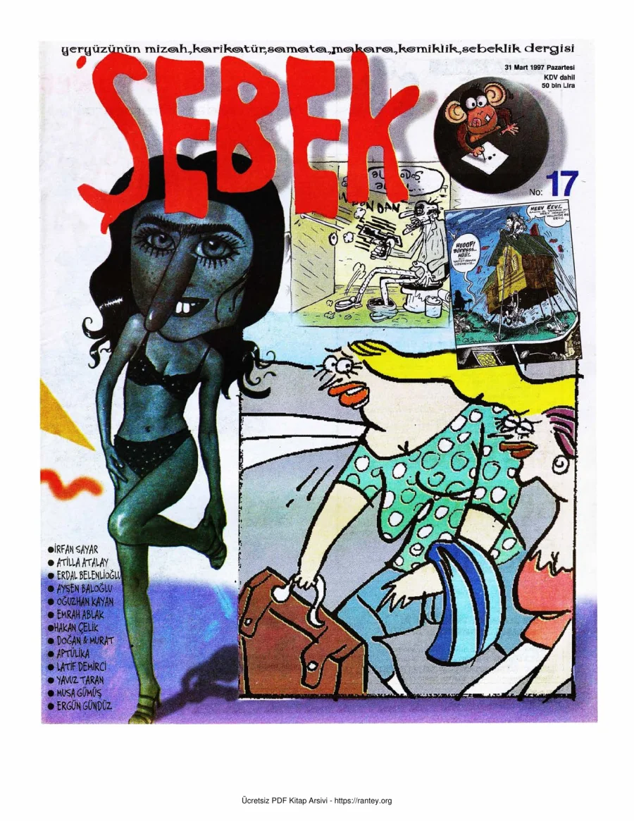 17 kapak görseli