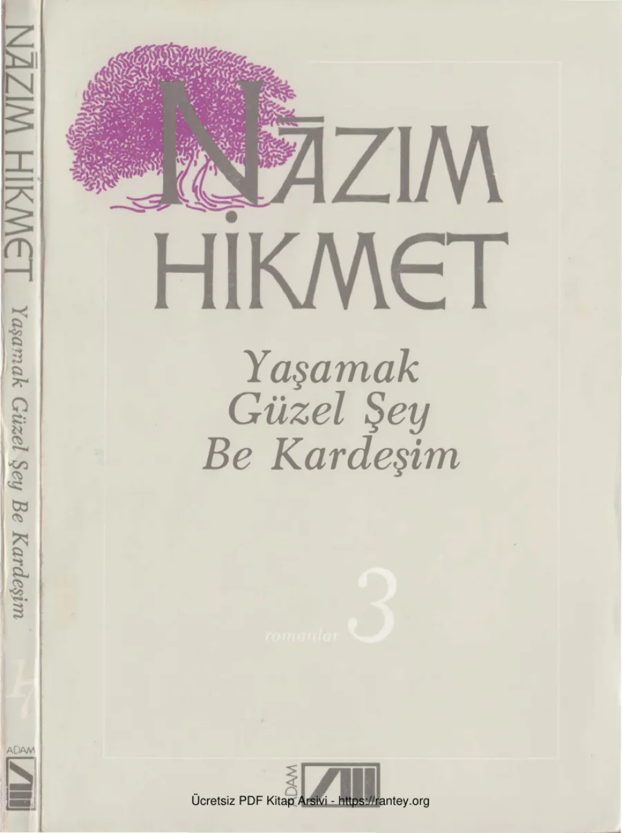 17 Yaşamak Güzel Şey Be Kardeşim kapak görseli
