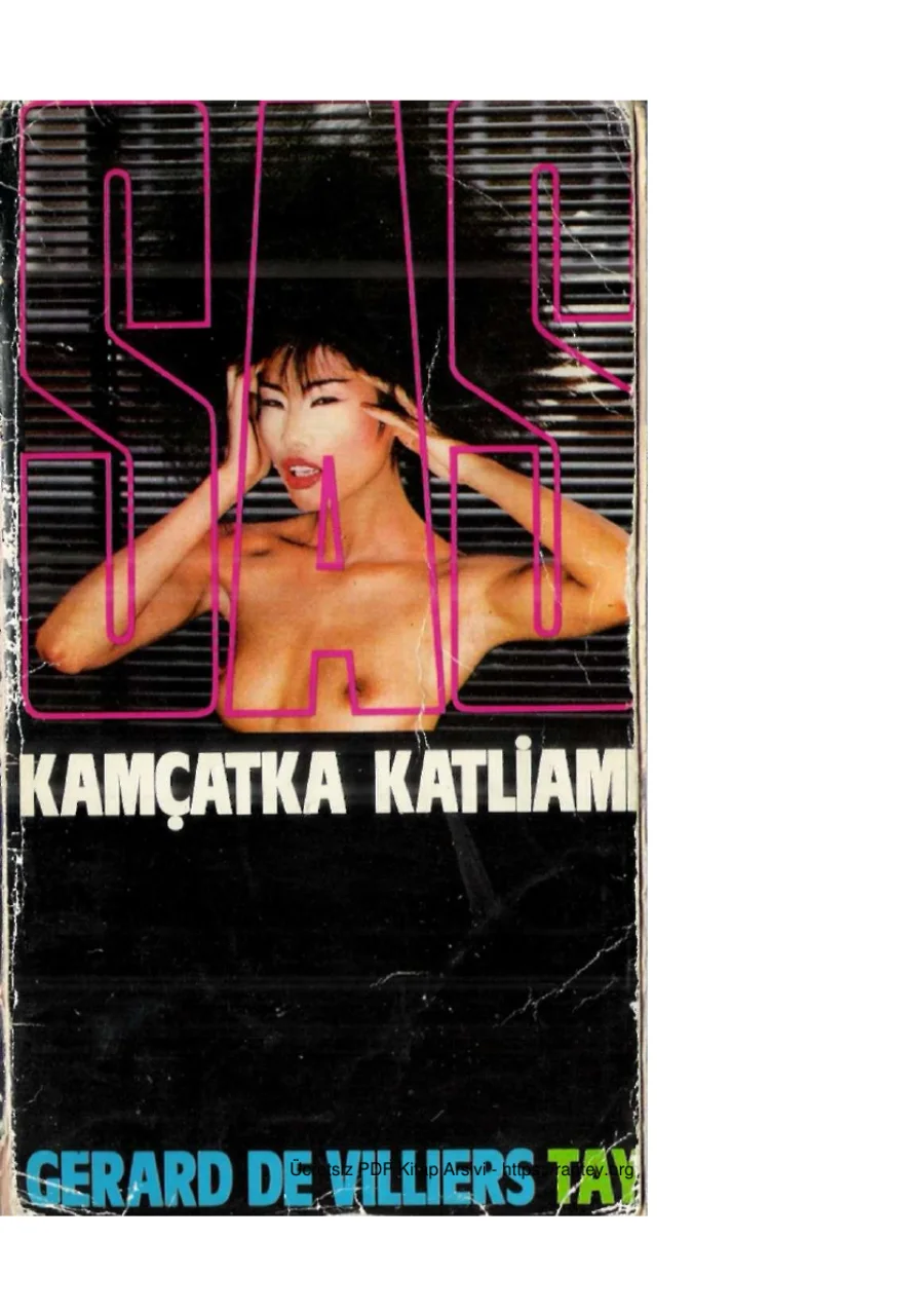 19 Kamcatka Katliami kapak görseli