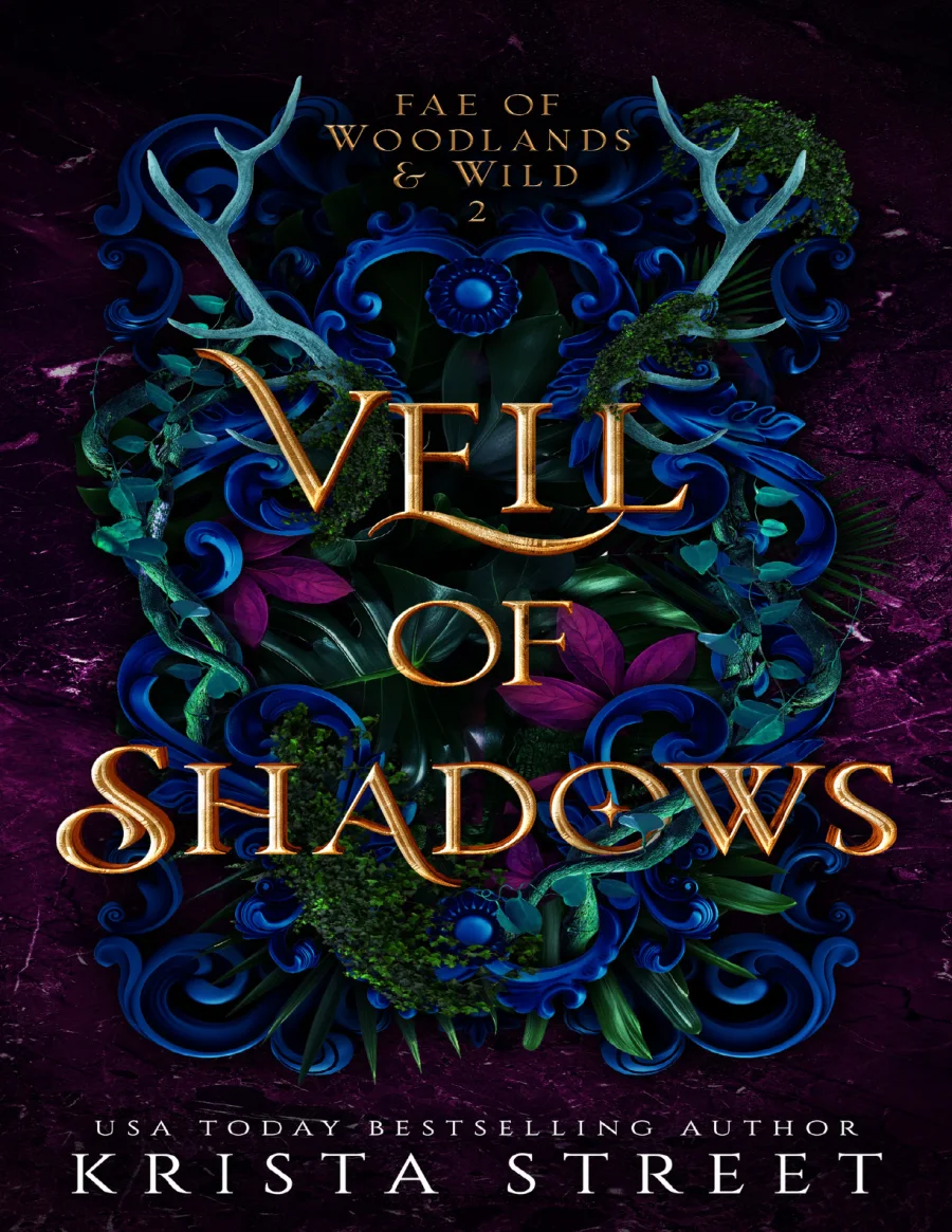 2 Veil of Shadows kapak görseli
