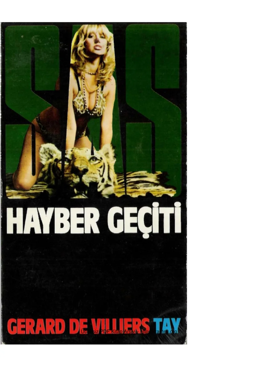 20 Hayber Gecidi kapak görseli