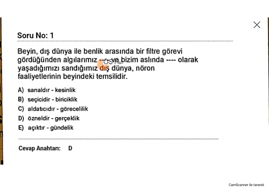 2023 ALES 2 Sınavı Sözel Sorular PDF kapak görseli