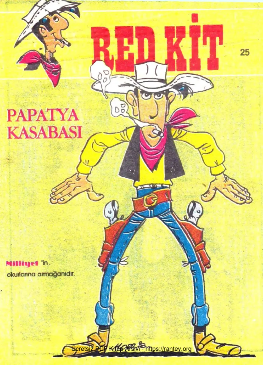 25 Papatya Kasabası kapak görseli
