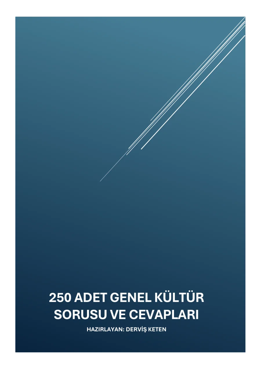 250 ADET GENEL KÜLTÜR SORUSU DERVİŞ KETEN kapak görseli