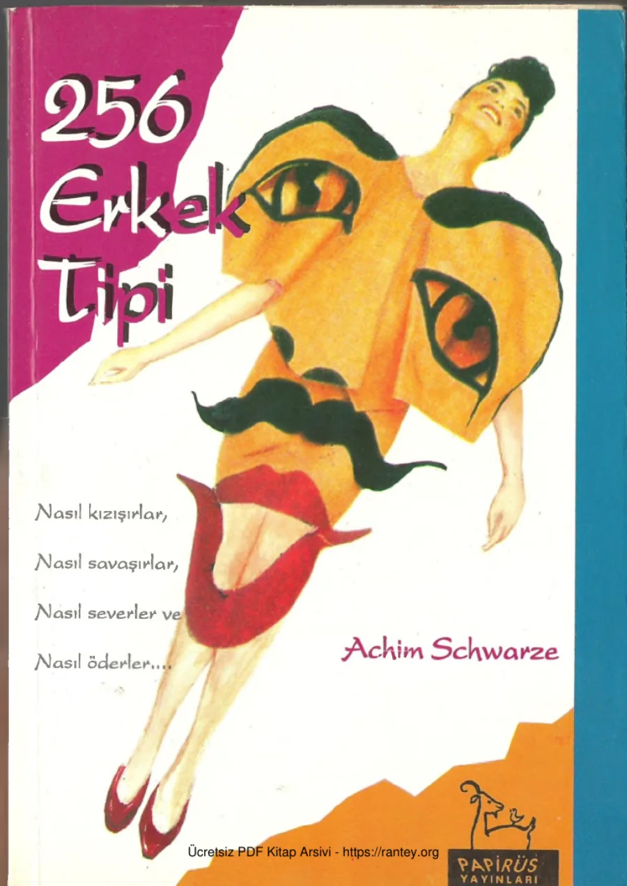 256erkektipi kapak görseli
