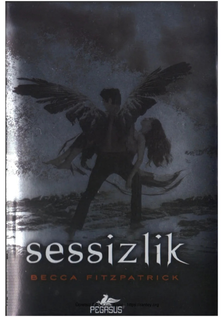 3 Sessizlik kapak görseli