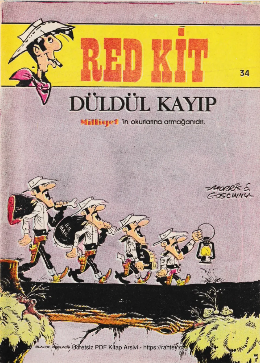 34 Düldül Kayıp kapak görseli