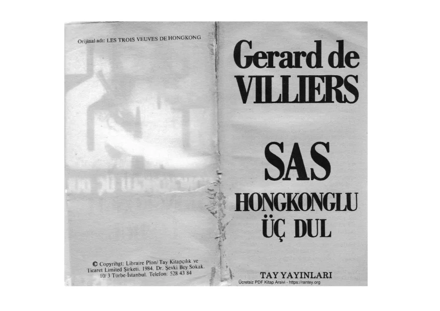 36 Hong Konglu 3 Dul kapak görseli