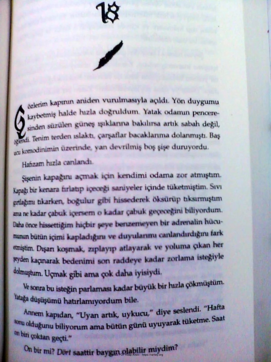 4 FİNAL 2kısım kapak görseli