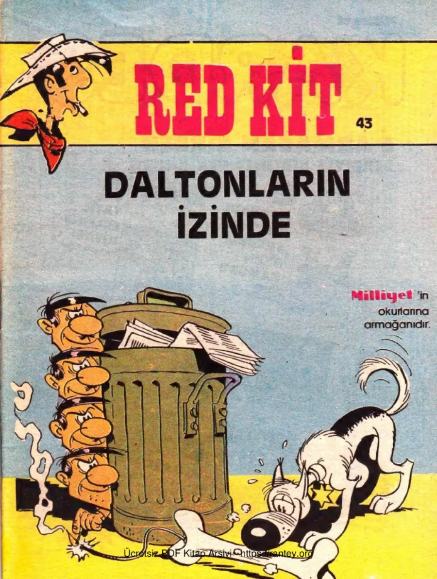 43 Daltonların İzinde kapak görseli