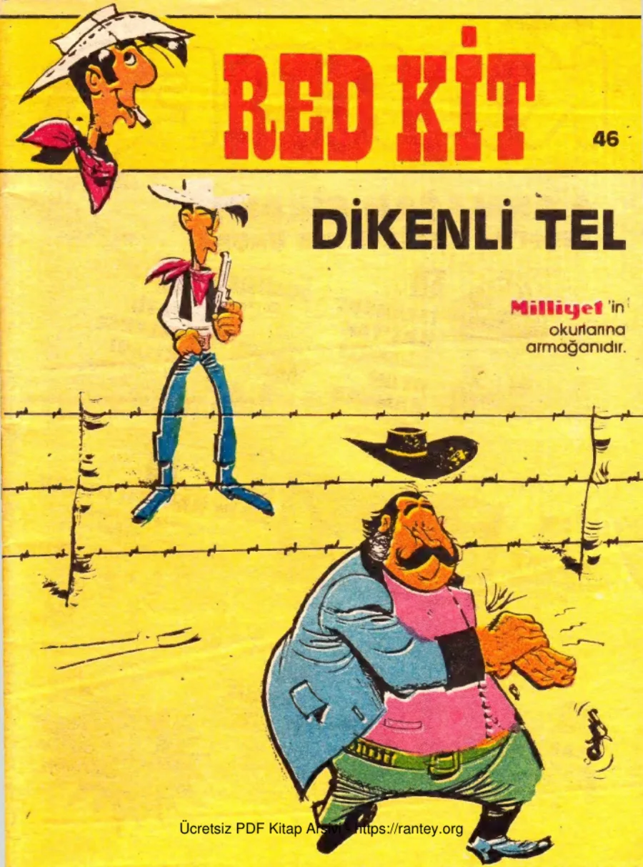 46 Dikenli Tel kapak görseli
