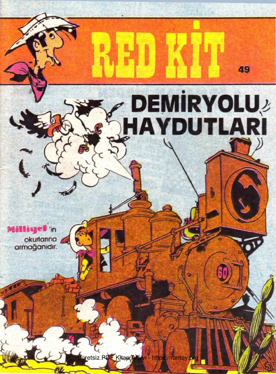 49 Demiryolu Haydutları kapak görseli