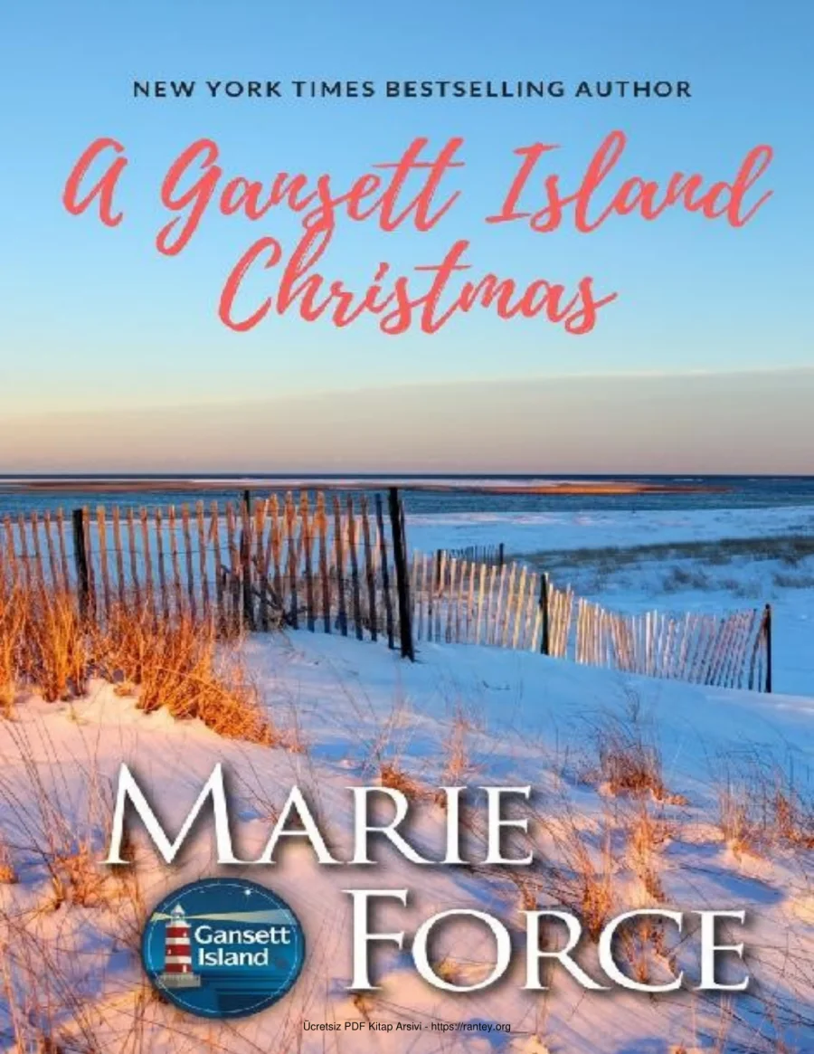 5 A Gansett Island Christmas kapak görseli
