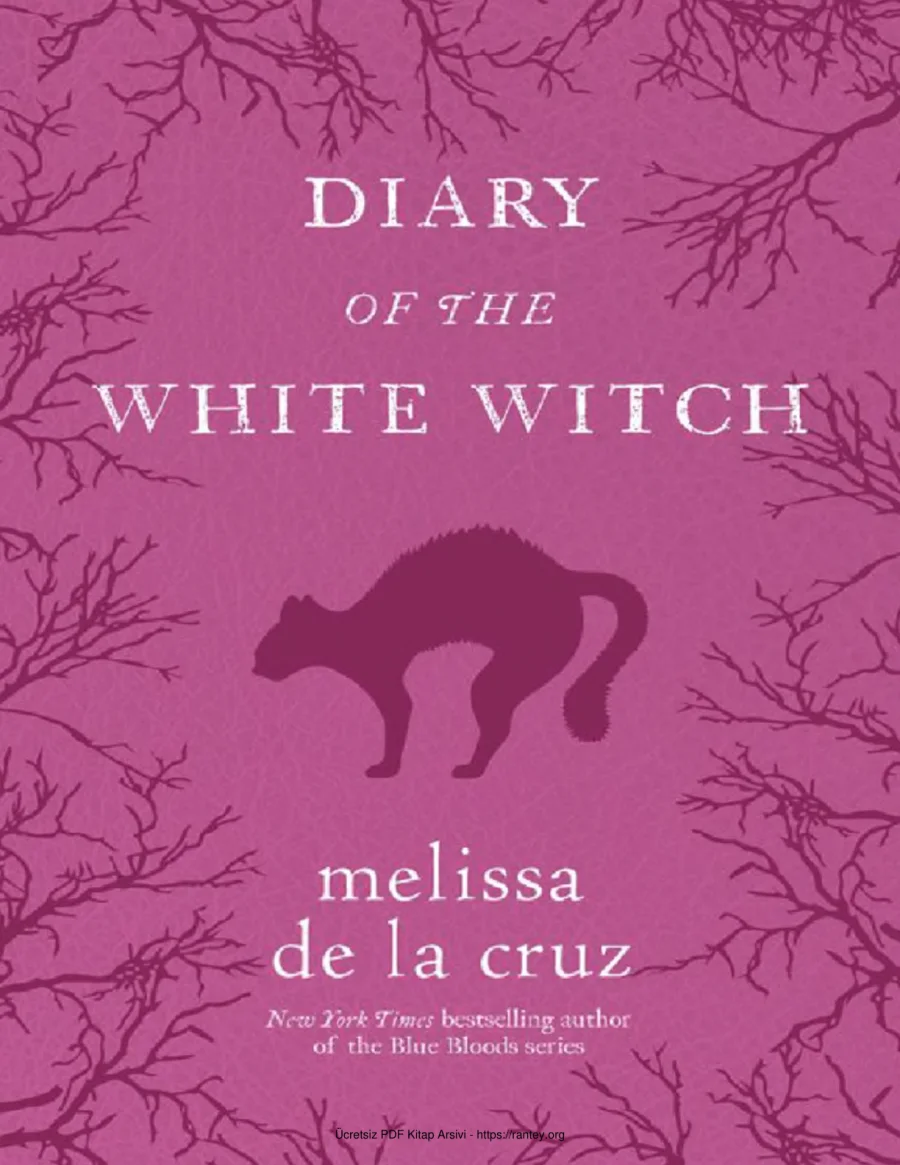 5 Diary of the White kapak görseli