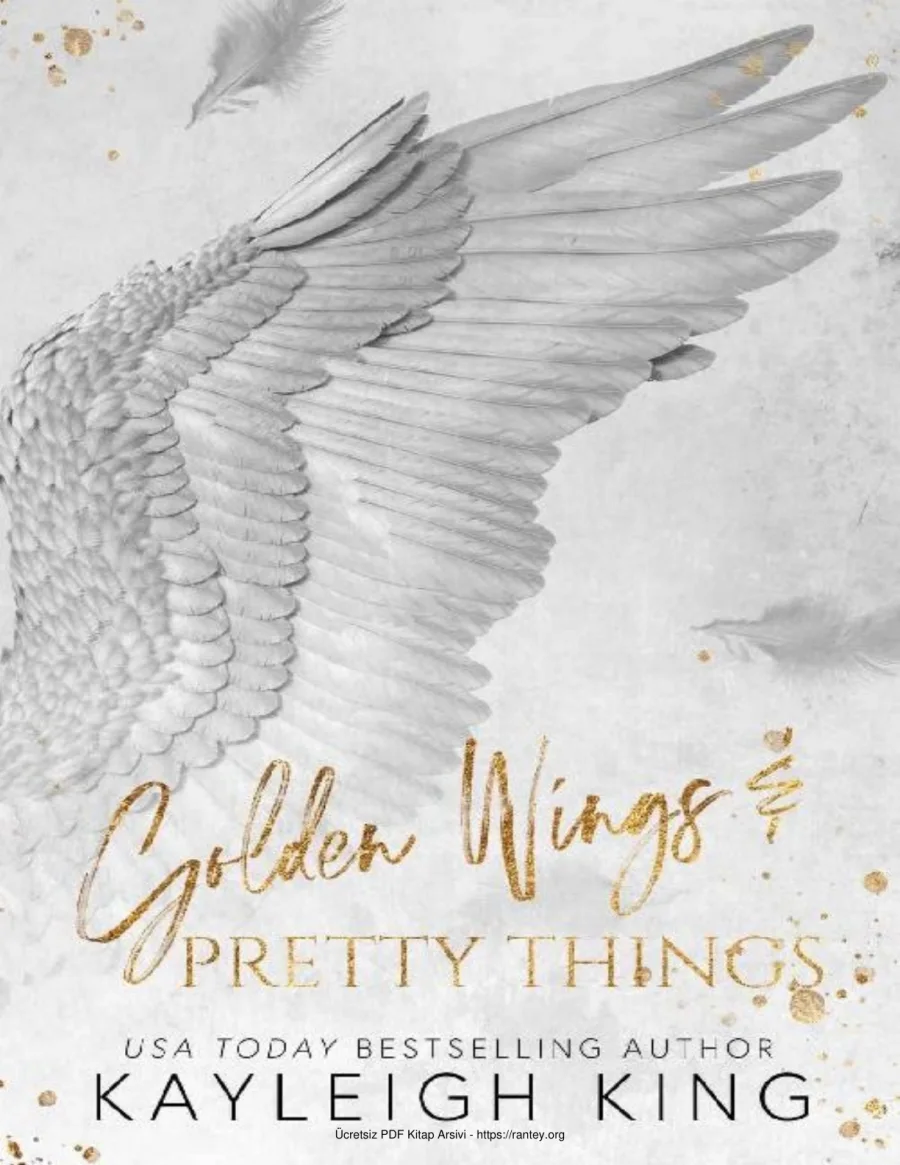 5 Golden Wings Pretty Things kapak görseli