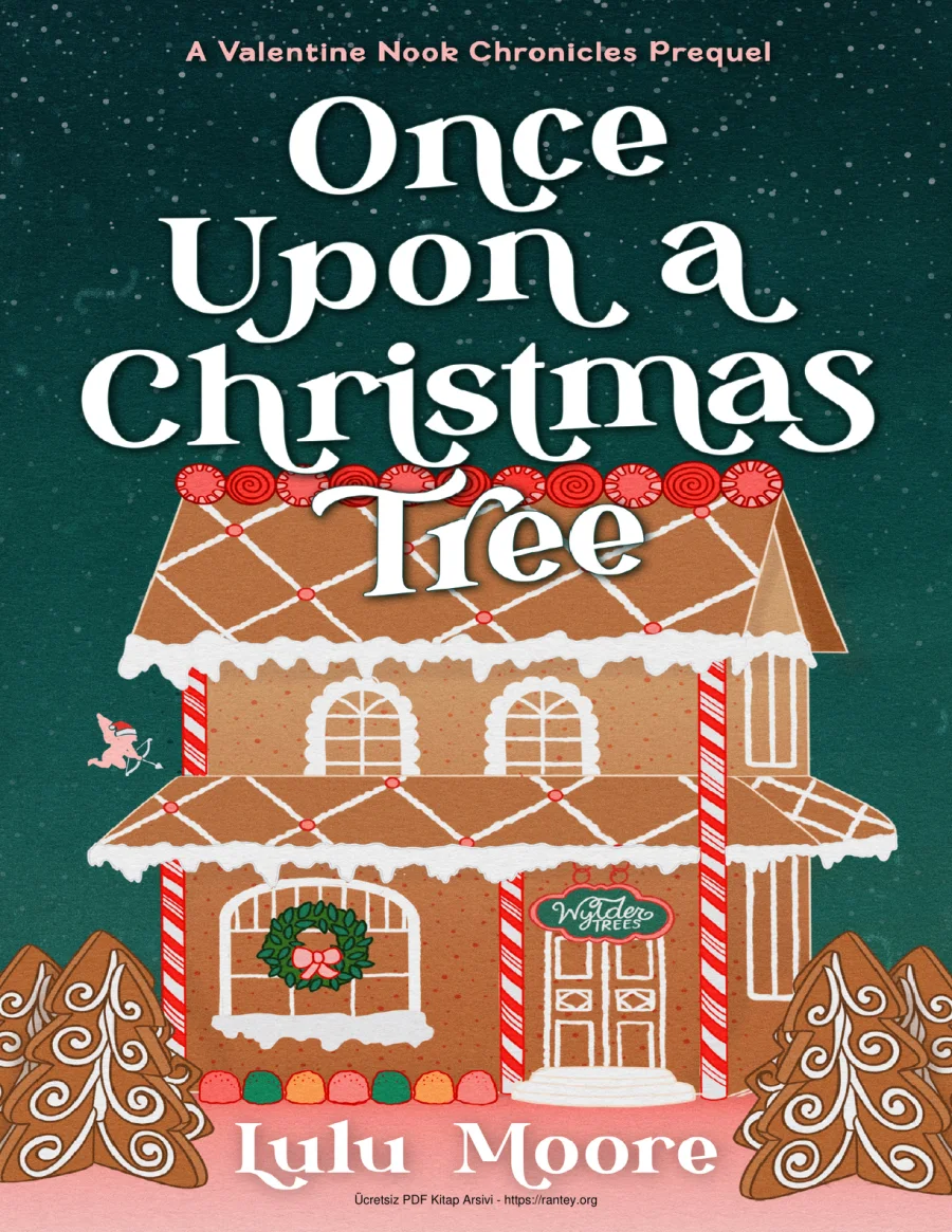 5 Once Upon a Christmas 2 kapak görseli
