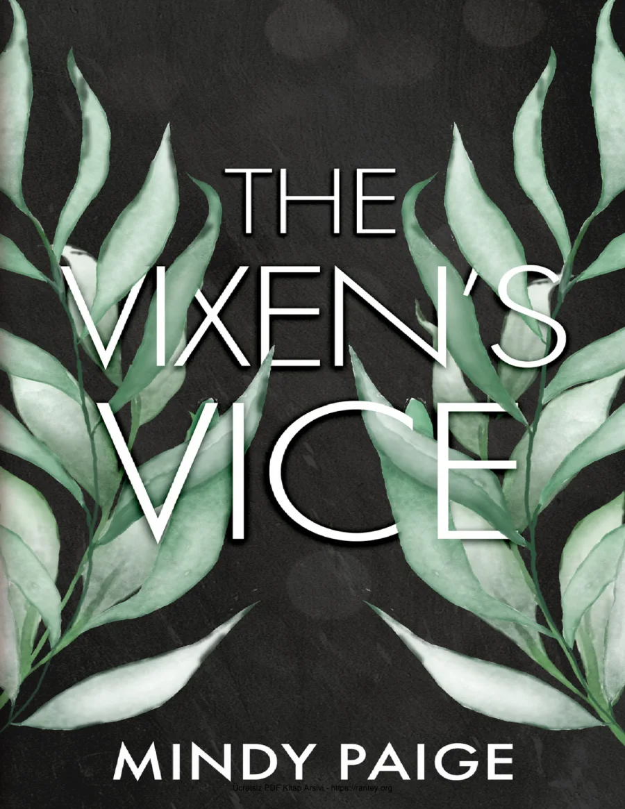 5 The Vixens Vice kapak görseli