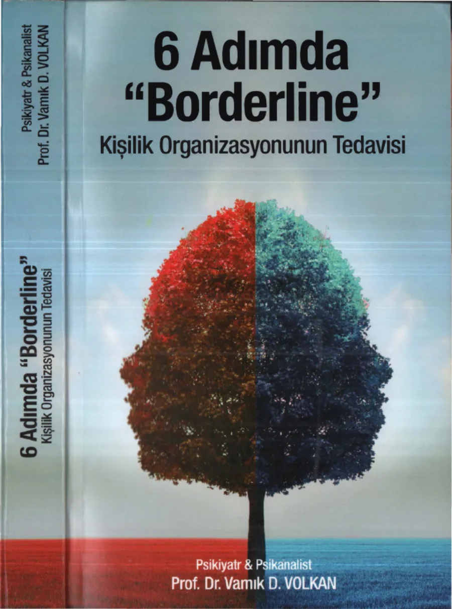 6 Adımda Borderline kapak görseli