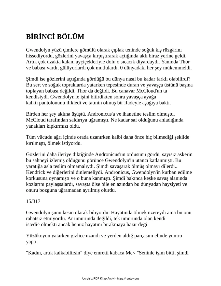 6Kahramanlık Saldırısı kapak görseli
