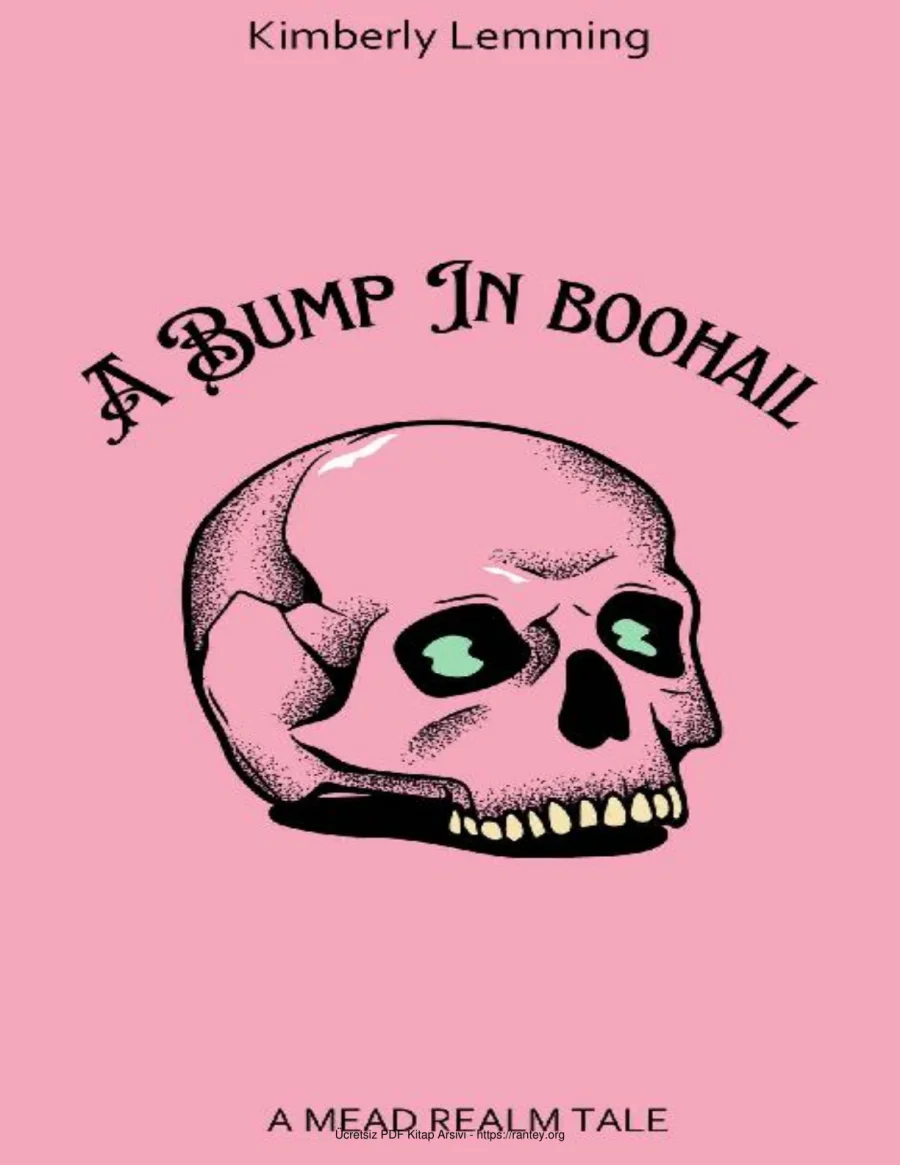 A Bump in Boohail kapak görseli