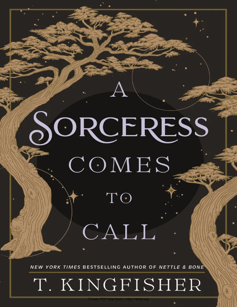 A Sorceress Comes to Call kapak görseli