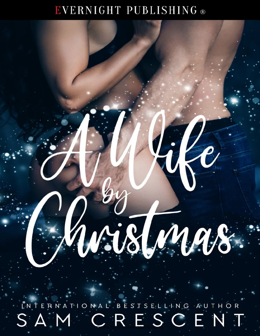A Wife by Christmas kapak görseli