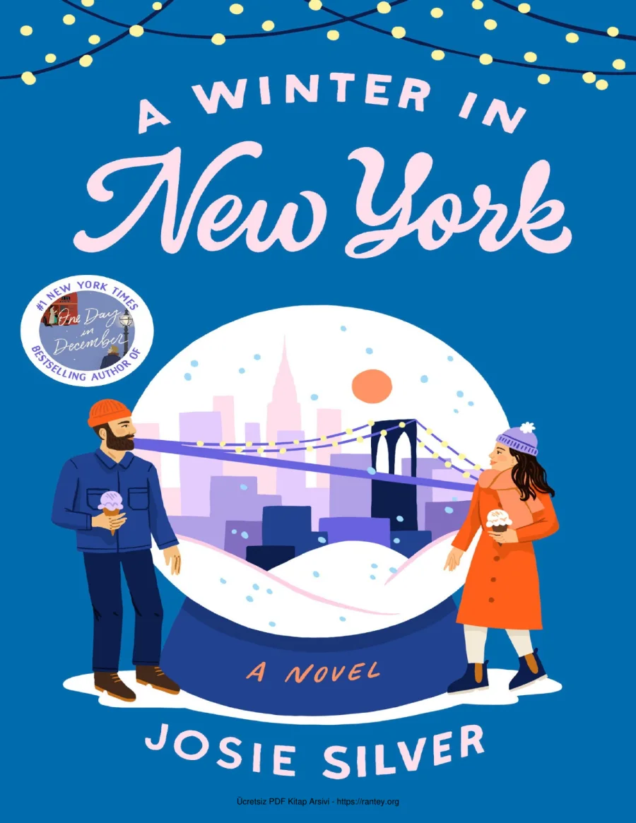 A Winter in New York kapak görseli