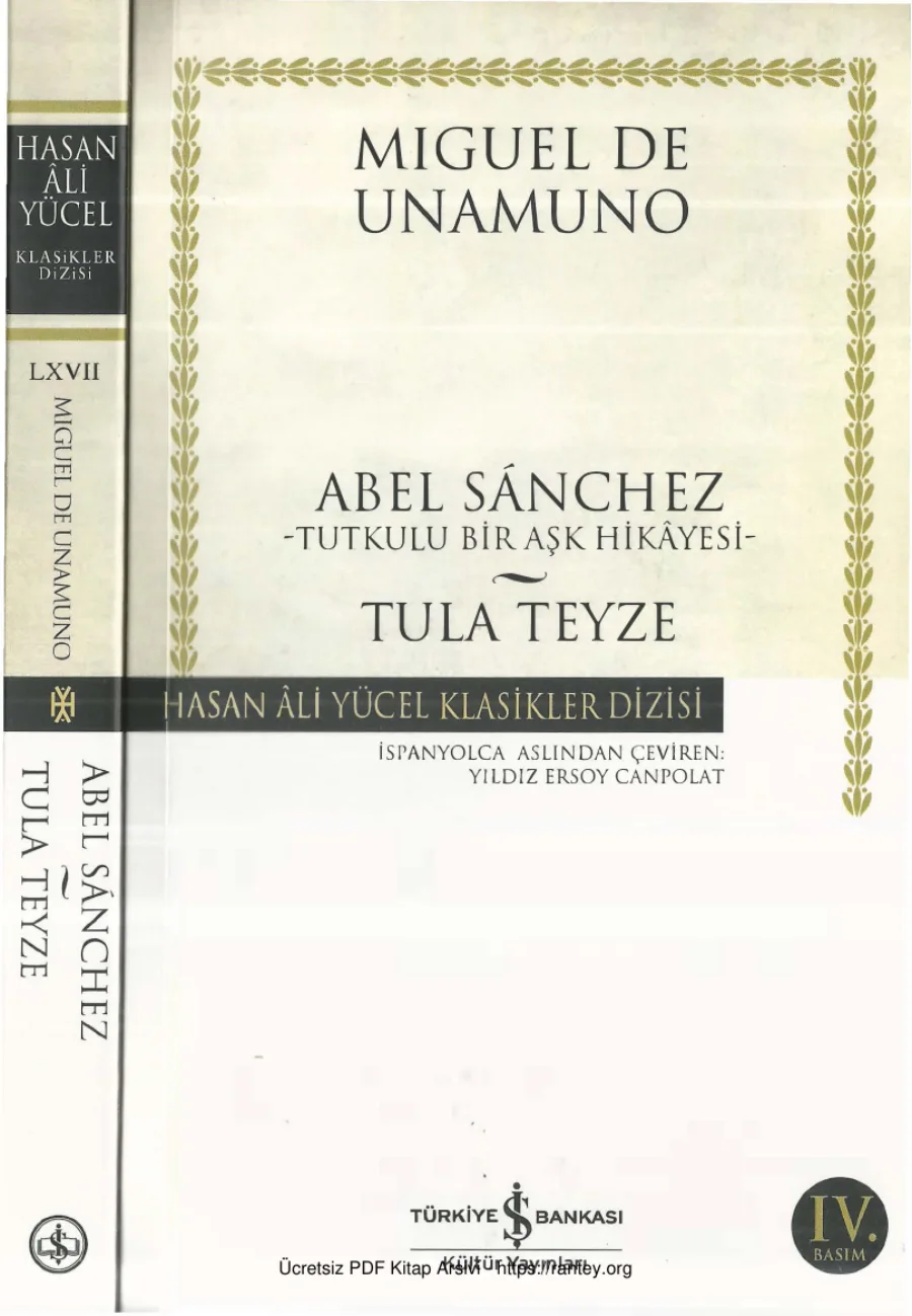 Abel Sanchez Tula Teyze kapak görseli