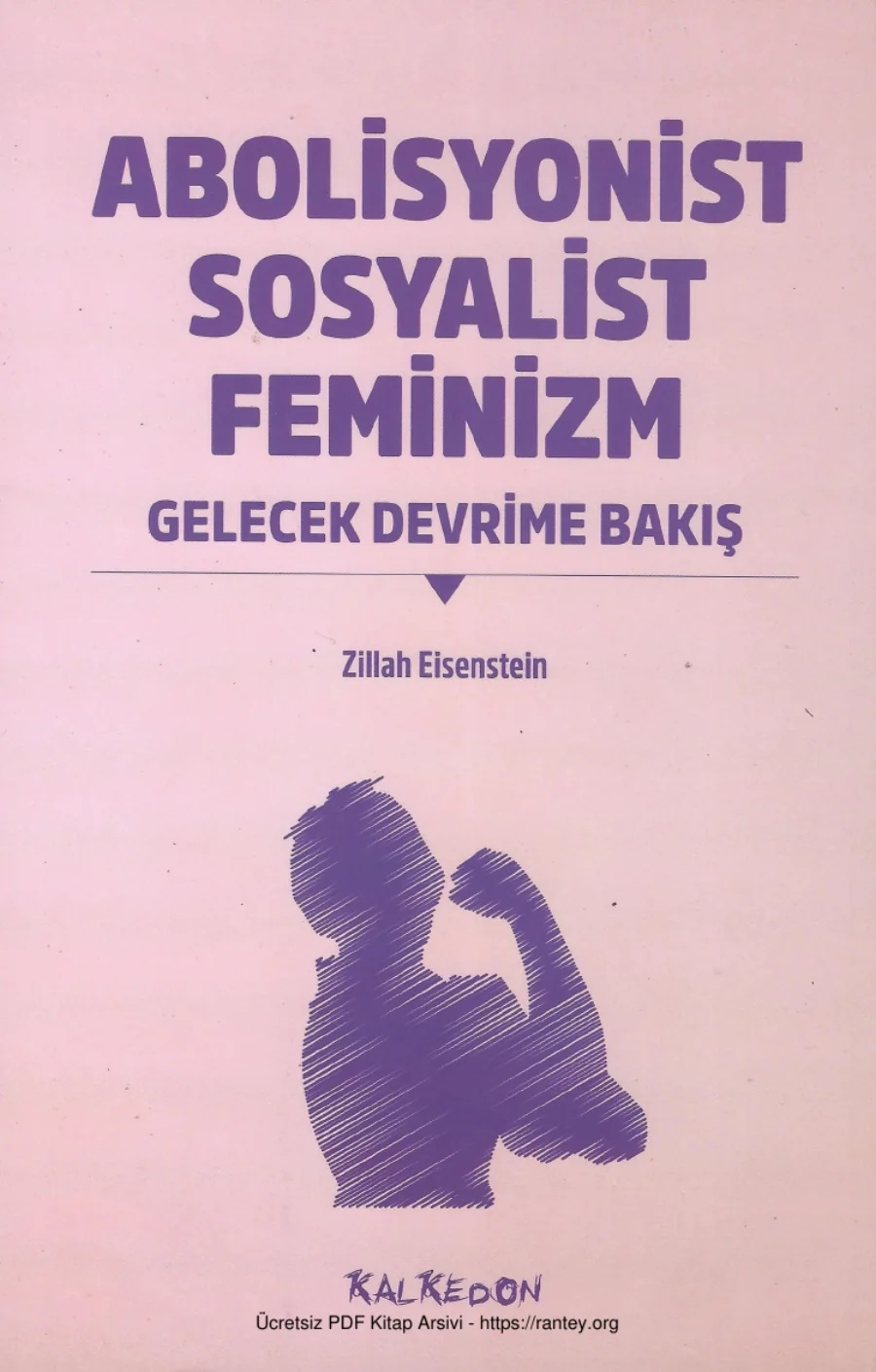 Absolisyonist Sosyalist Feminizm kapak görseli