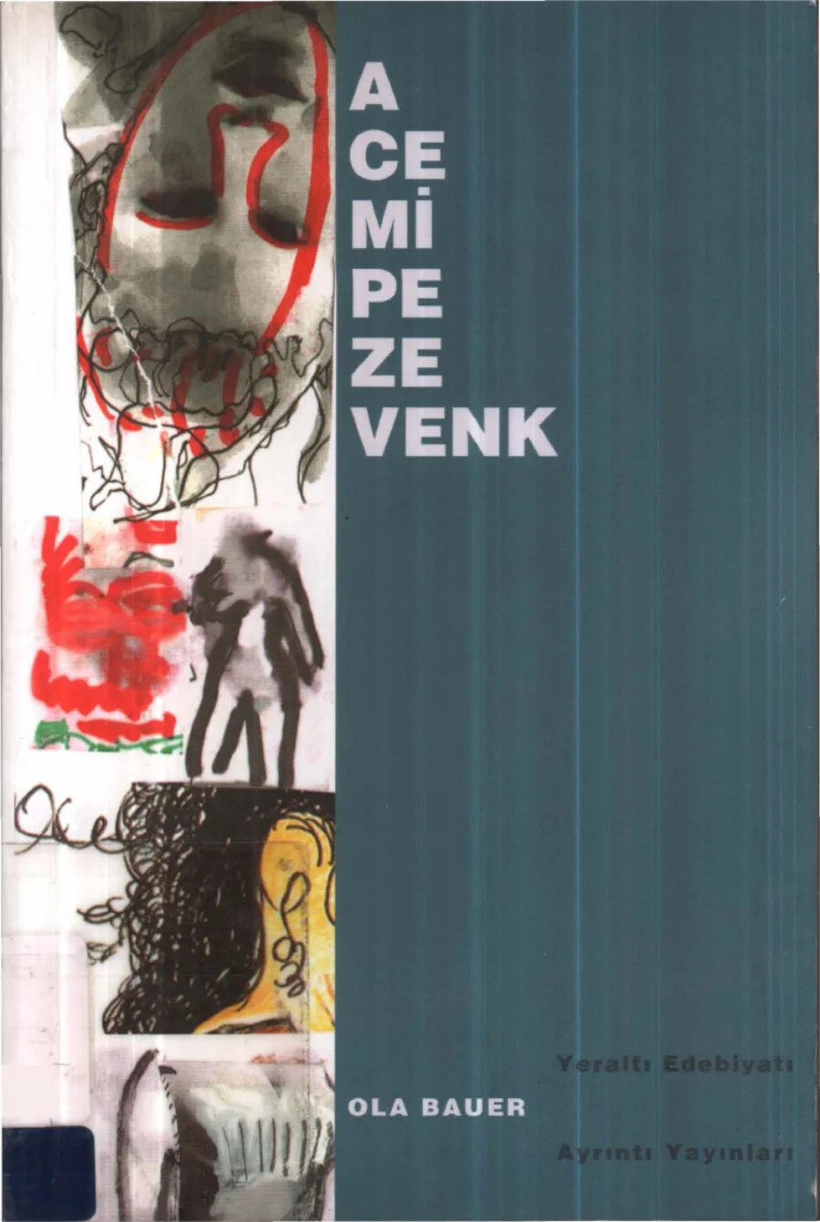 Acemi Pezevenk kapak görseli