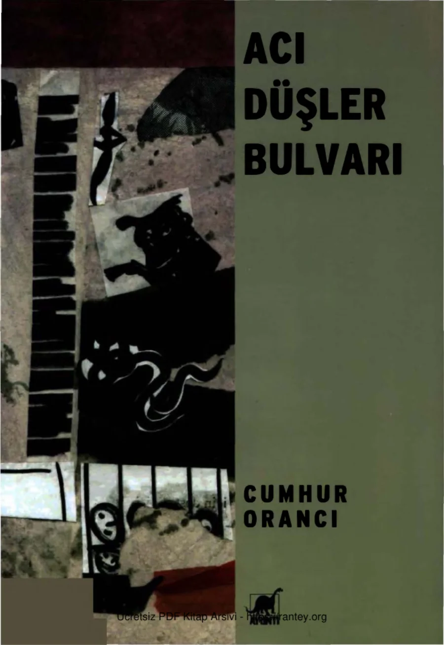 Acı Düşler Bulvarı kapak görseli