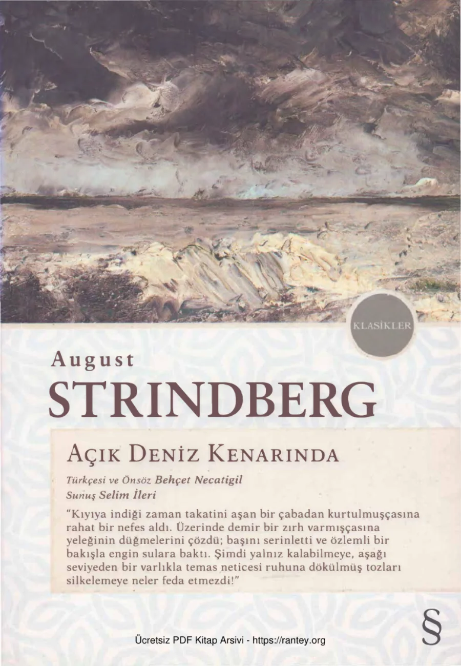 Açık Deniz Kenarında kapak görseli