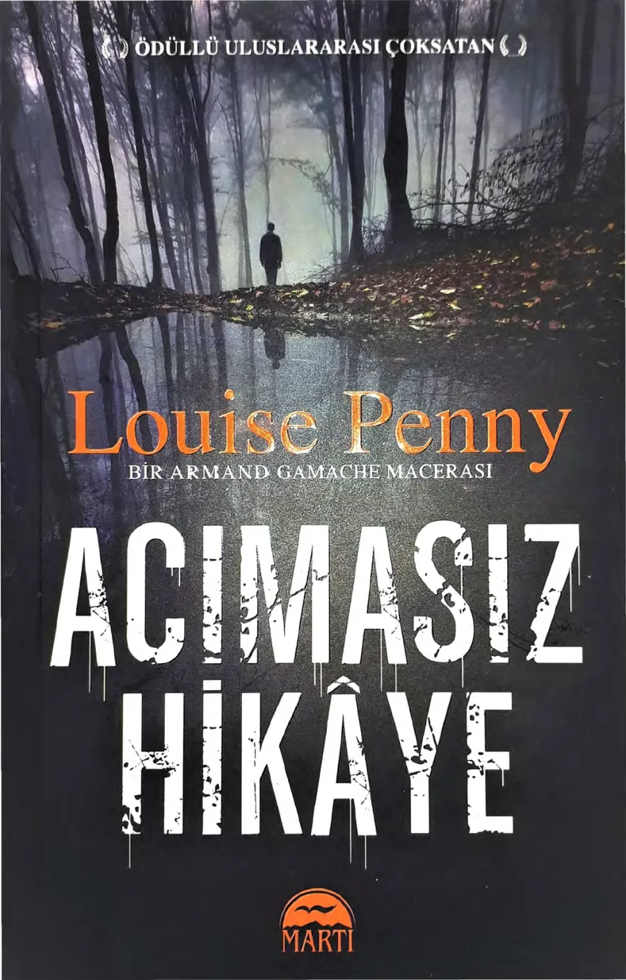 Acımasız Hikâye kapak görseli