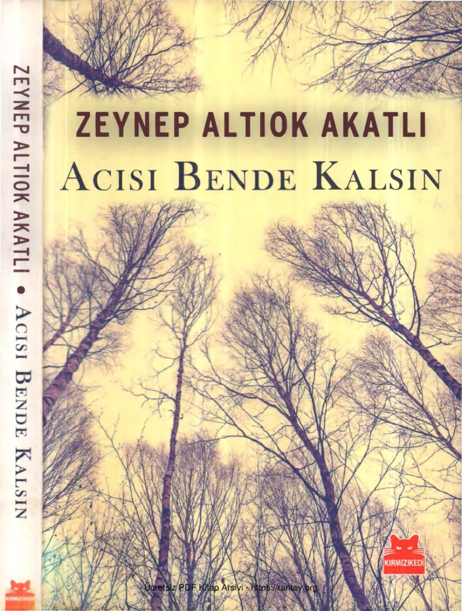 Acısı Bende Kalsın kapak görseli