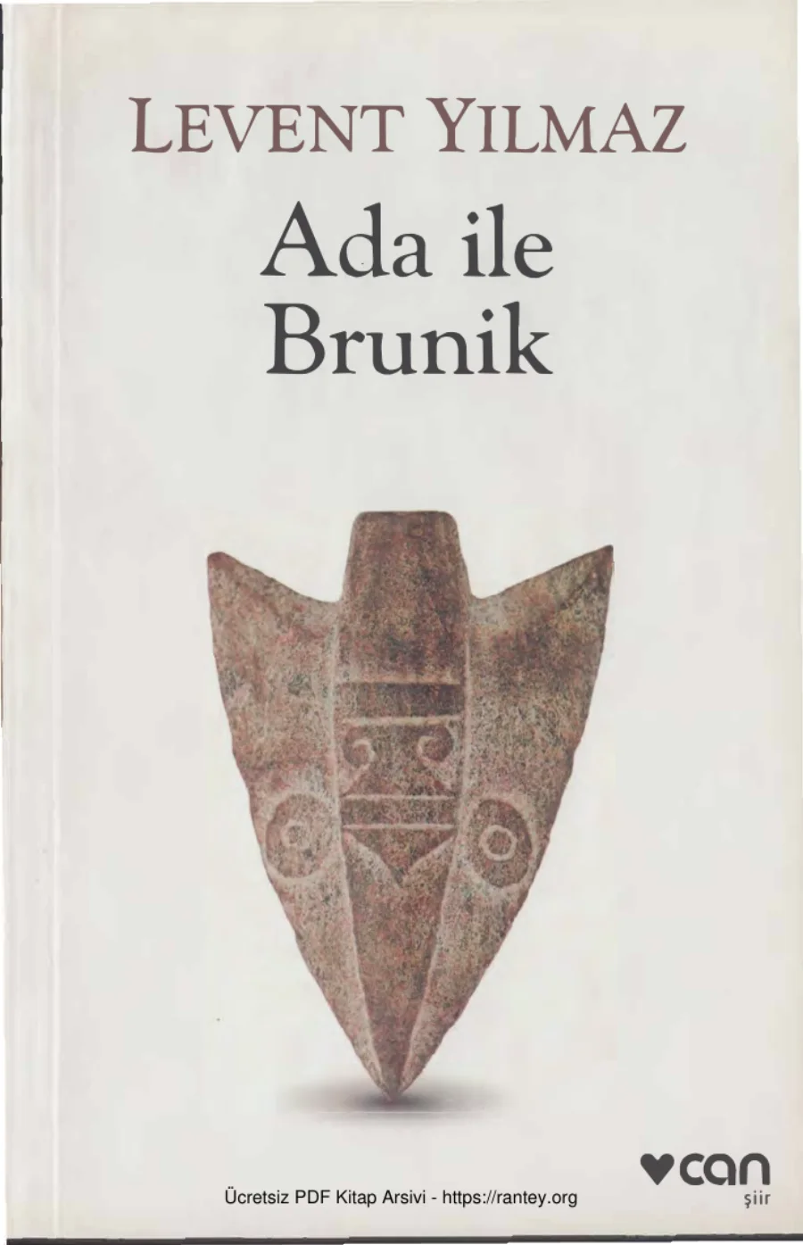 Ada ile Brunik kapak görseli