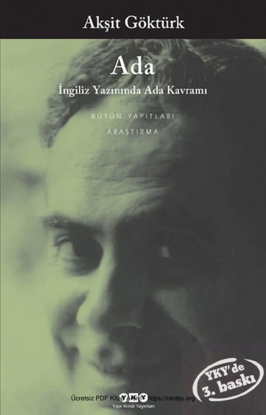 Ada İngiliz Yazınında Ada Kavramı kapak görseli