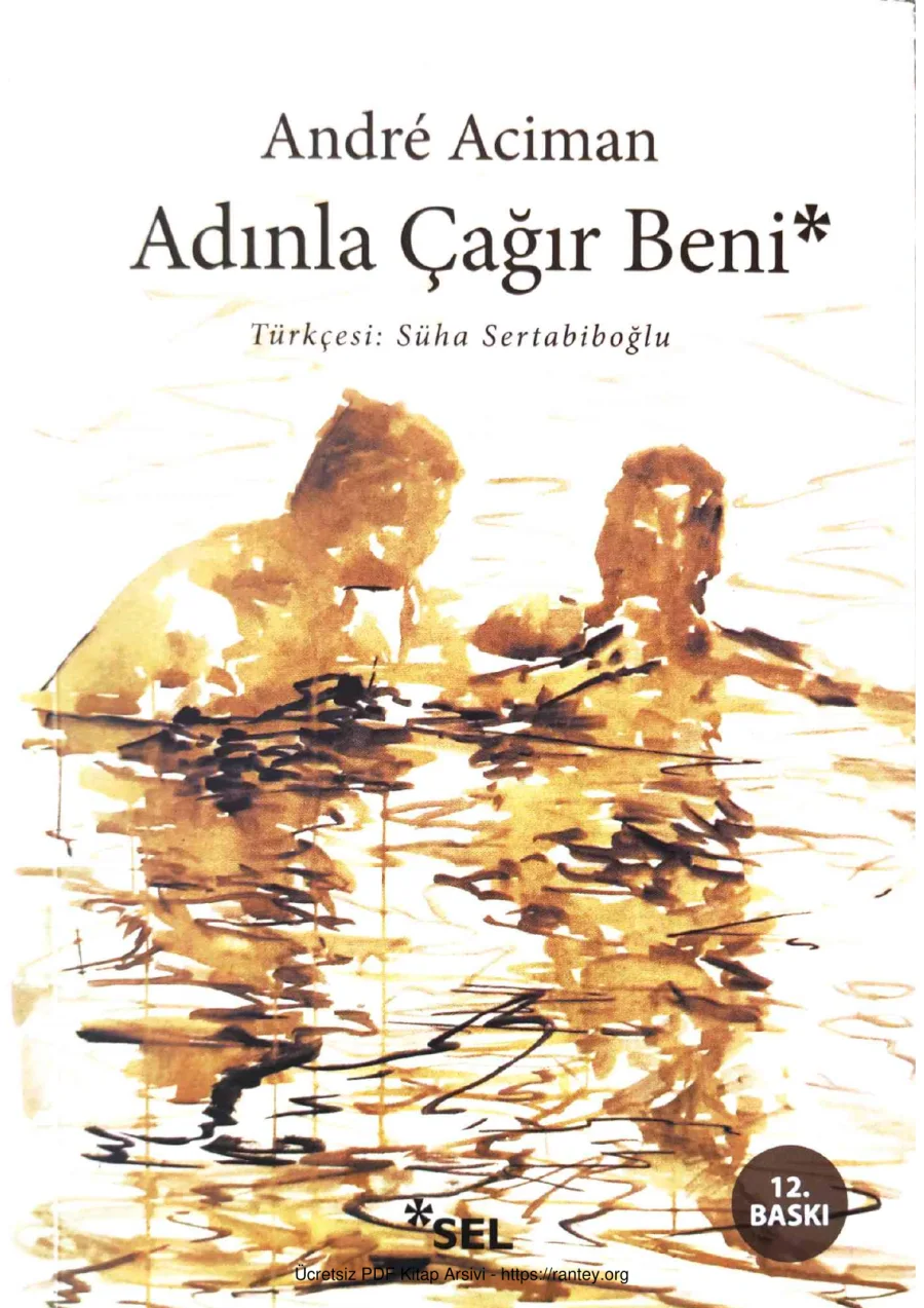 Adınla Çağır Beni kapak görseli