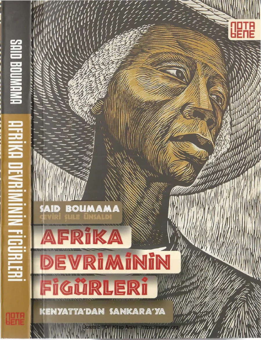 Afrika Devriminin Figürleri kapak görseli