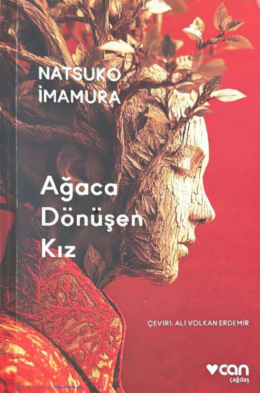 Ağaca Dönüşen Kız kapak görseli