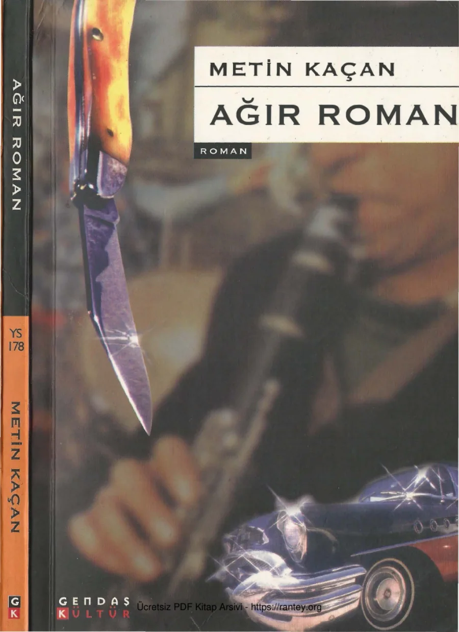 Ağır Roman kapak görseli